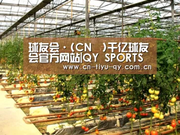 种植基地二