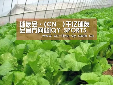 种植基地一