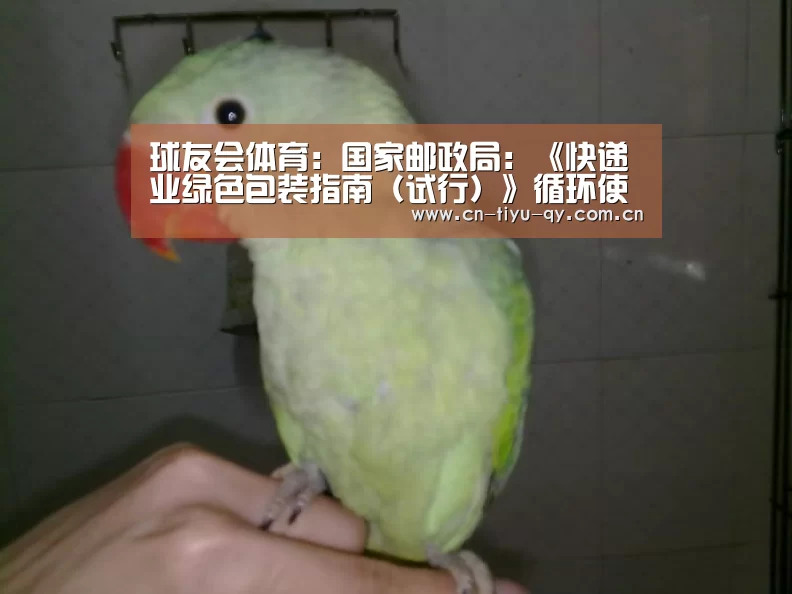 球友会体育:国家邮政局:《快递业绿色包装指南(试行)》循环使用次数不低于20次...(图1) 球友会